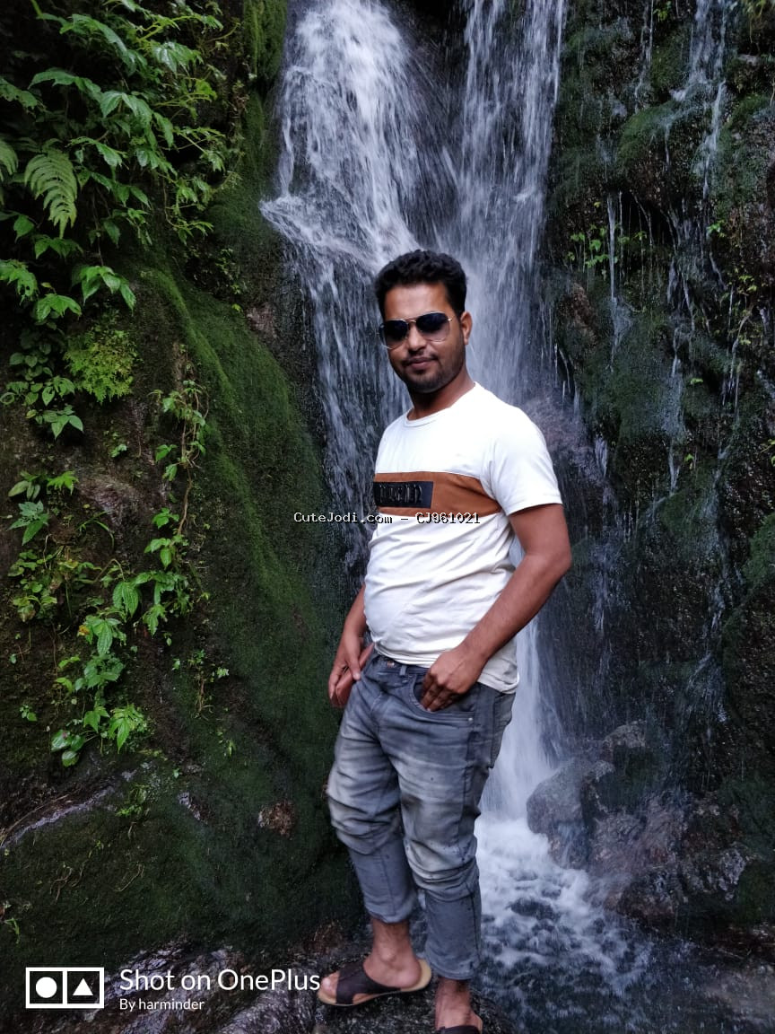Profile Picture